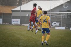 DSC_4905
