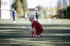 27.09.2026 Piłkarska jesień z Gedanią - rocznik 2019