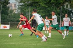 DSC_5954